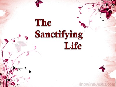 The Sanctifying Life (devotional)05-13 (pink)